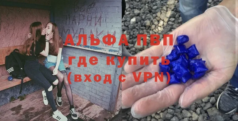 Alpha-PVP СК КРИС  darknet как зайти  Нефтегорск 